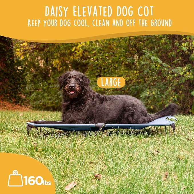 Daisy Cot, Large Foldable Elevated Dog Bed, Portable Raised Outdoor Folding Dog Cot, Cooling, Chew Proof, Waterproof, Heavy Duty Up to 160 lbs for Camping/Home, Grey, 43"x 27"x7"-PawvioPets