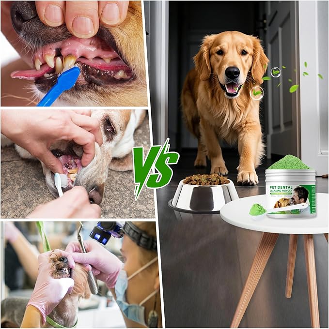 Dog Dental Powder,Dog Teeth Cleaning Powder,Dog Dental Cat Dental Care,Cat and Dog Teeth Cleaning,Canine Plaque Remover Helps Reduce Bad Breath,Improve Pet's Oral Cavity and Freshen Breath（80G）-PawvioPets