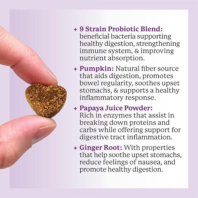 Dr. Harvey's Digestive Probiotic Soft Chews for Dogs, 7 Probiotics for Gut Health, Diarrhea and Bowel Support, Peanut Butter Flavor (90 Chews)-PawvioPets