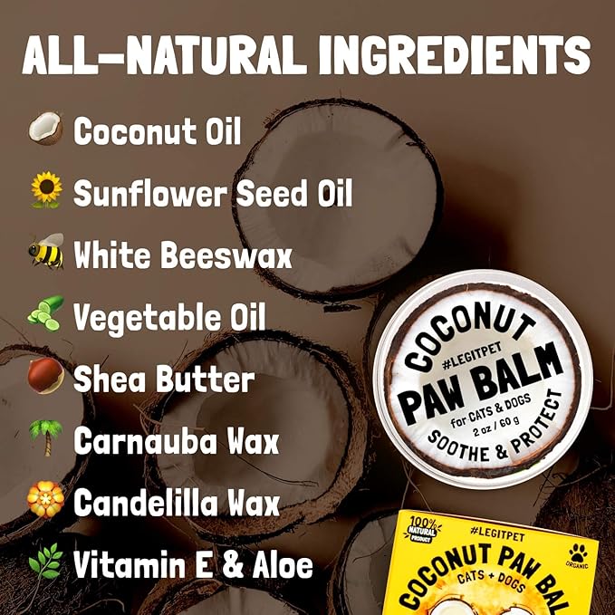 Coconut Paw Balm for Dogs by legitpet-PawvioPets