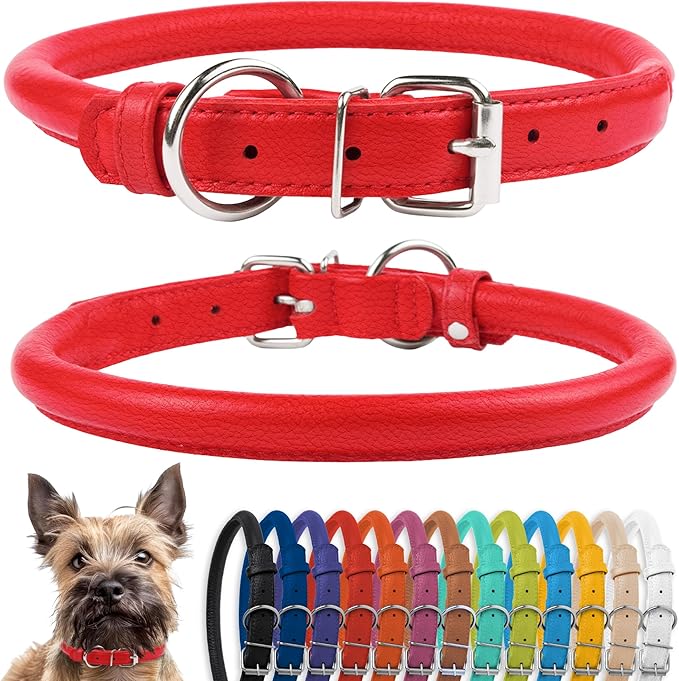 CollarDirect Rolled Leather Dog Collar, Soft Padded Round Puppy Collar, Handmade Genuine Leather Collar Dog Small Large Cat Collars 13 Colors (8-11 Inch, Red Textured)-PawvioPets