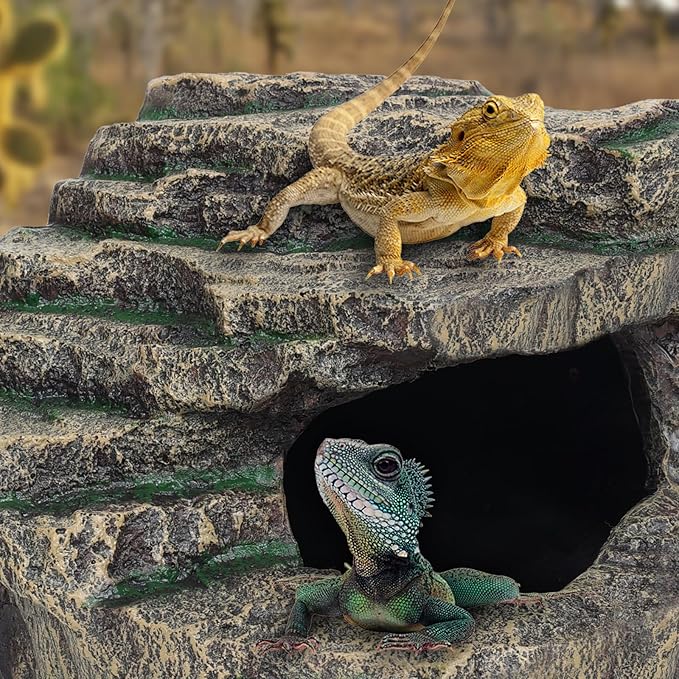 Beared Dragon Tank Accessories for Adults, Snake Hide, Reptile Tank Accessories, Perfect Natural Large Reptile Hide, Professional Turtle Basking Platform (E-Large)-PawvioPets