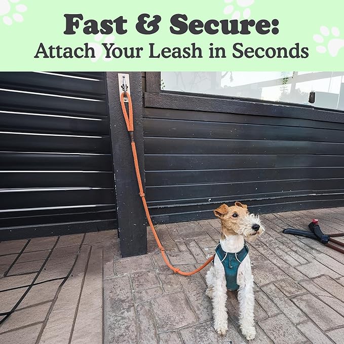 Canine Hitch- Secure Dog Leash Parking Mounted Indoor – Outdoor Wall Hook - Tie Out Stainless Steel Practical Lead Management for Home & Business, Standard Size 6 Pack-PawvioPets