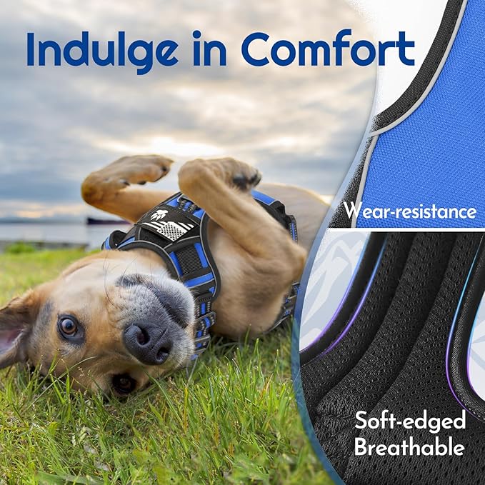Eagloo Dog Harness for Large Dogs, Easy Wearing with 3 Buckles, Adjustable No Pull Pet Harness with 2 Rings for Walking, No Chock Reflective Soft Padded Vest with Control Handle, Blue & Black, XL-PawvioPets