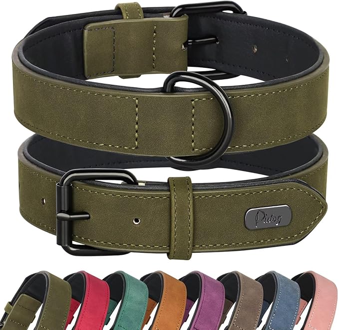 Didog Soft Padded PU Leather Dog Collar, Breathable and Adjustable Dog Collars for Small Dogs, Comfortable for Daily Walk, Dark Green, M Fit Neck 12-15"(13-22 lbs)-PawvioPets