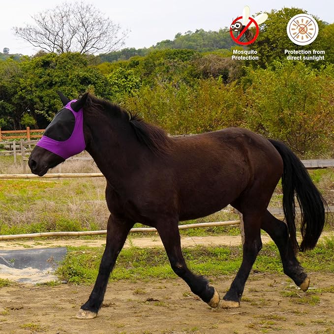 2 Piece Horse Fly Mask with Ears, Comfortable Fit Stretch Fabric Big Eye Space Soft Breathable with UV Protection for Full Horses (Purple-Gray)-PawvioPets
