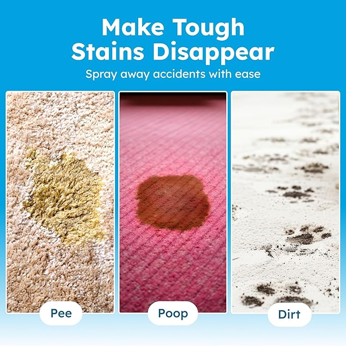 BugMD Enzyme Cleaner for Dog & Cat Urine | Pet Stain and Odor Remover for Carpet & Home | Unscented Urine Destroyer & Deodorizer-PawvioPets