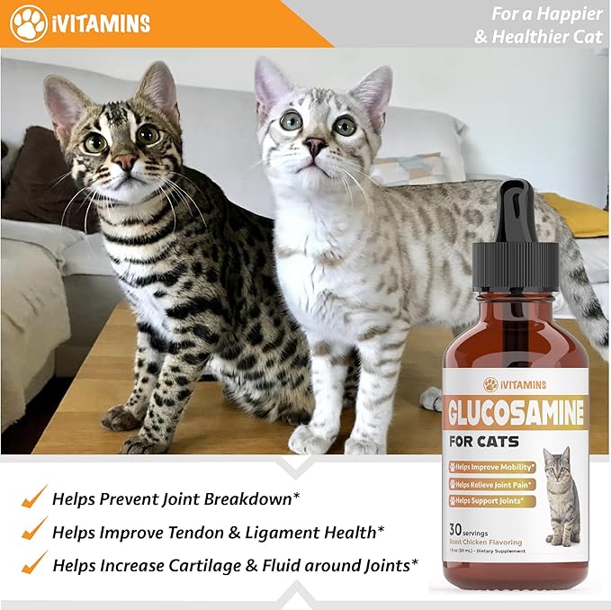 Glucosamine for Cats | Cat Glucosamine | Glucosamine for Cats Liquid | Cat Joint Supplement | Joint Supplement for Cats | Cat Joint Pain Relief | Joint Support for Cats | 1 fl oz: Chicken Flavor-PawvioPets
