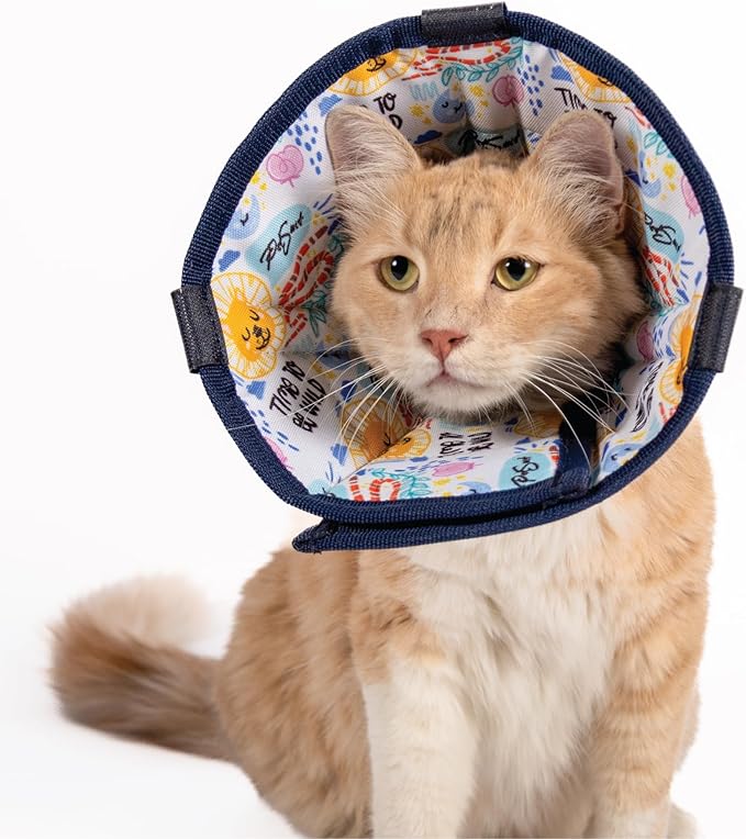 Cat Cone Collar – Colorful Cat Pattern - Lightweight Recovery Cone for Cats, Anti-Lick & Anti-Scratch, Vet Recommended, Elizabethan Collar (Colorful, XXS Long [Neck Girth: 7.5"-10.3"])-PawvioPets