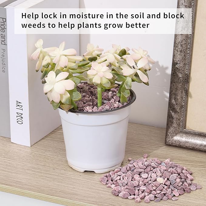 2lb Succulent and Cactus Gravel Pebbles 1/5-3/8 Inch Natural Decorative Polished Stones River Rocks for Plants, Vases, Aquariums, Terrarium and Outdoor Gardening, Rouge Red Color-PawvioPets