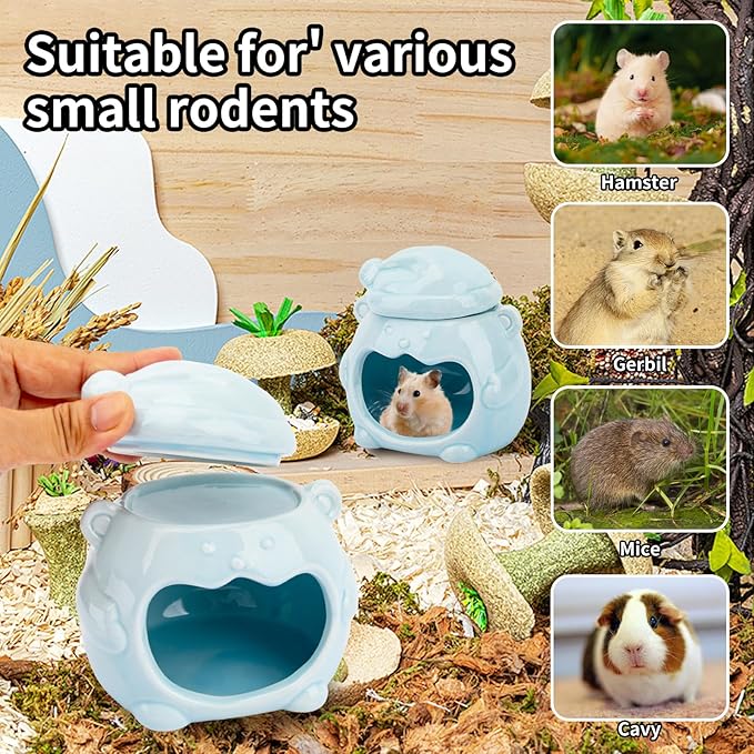 3-in-1 Bear Shaped Ceramic Hamster House - Cool House for Syrian Dwarf Hamsters, Mice, Gerbils， Small Pets, Top for Hamster Food, Removable Lid for Ice Packs, Cute Cool Hideout for Summer（Blue）-PawvioPets