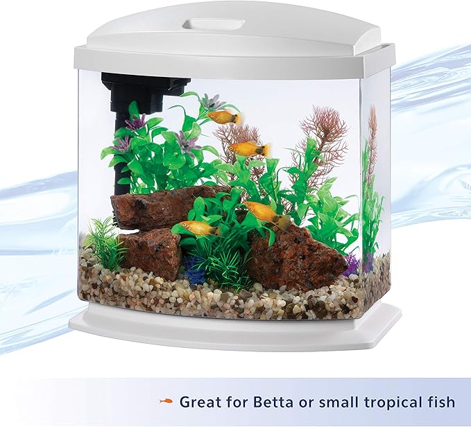 Aqueon LED MiniBow Aquarium Kit with SmartClean Technology, White, 2.5 Gallon-PawvioPets