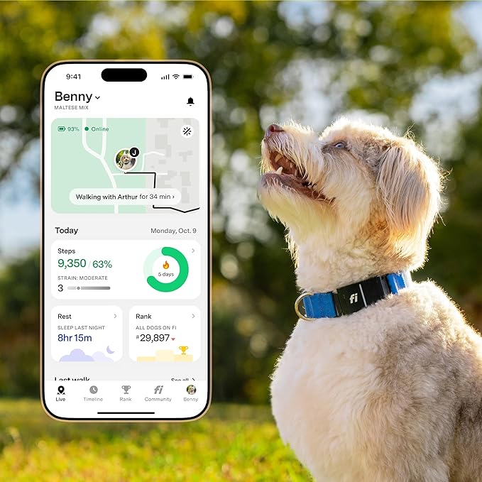 Fi New Series 3+ Smart Dog Tracker Collar – AI GPS for Dogs, Health & Behavior Monitor, Virtual Fence, Escape Alerts, Waterproof, Apple Watch Compatible 12Mo Membership Included-PawvioPets