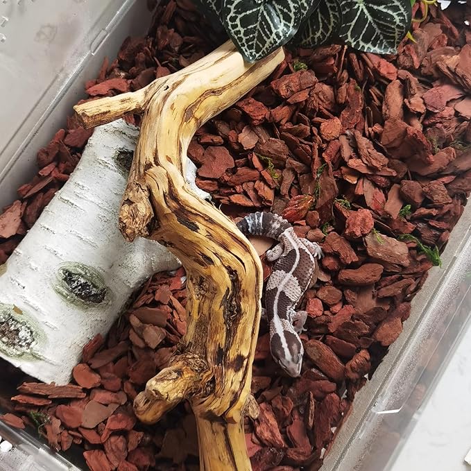 BNOSDM Reptile Cork Bark Substrate Bedding Tortoise Natural Cork Wood Chips Reptile Breeding Bedding Habitat Decor for Ball Python Lizard Snake Spiders Geckos Bearded Dragons Hermit Crabs （0.99LB）-PawvioPets