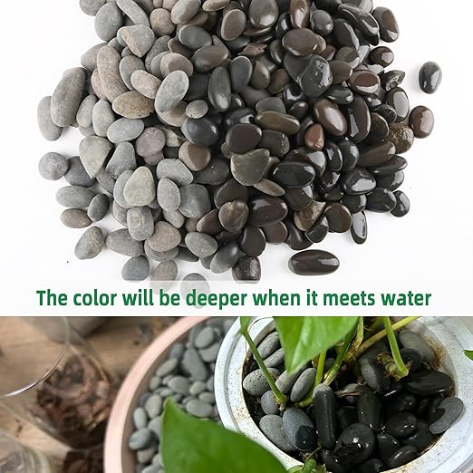 45LB River Rocks,Mexican Beach Pebbles for Plants,Potting,Garden Landscape Stone Paving Stone Grey 1Inch…-PawvioPets