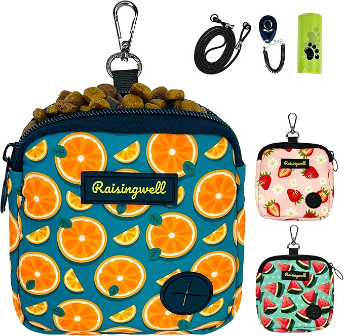 Dog Treat Pouch for Pet Walking and Training with Clicker Poop Bags Small Fanny Zipper Pack Holder for Puppy Snack Dispenser Kit for Leash and Outdoor Use (Fruit Orange)-PawvioPets