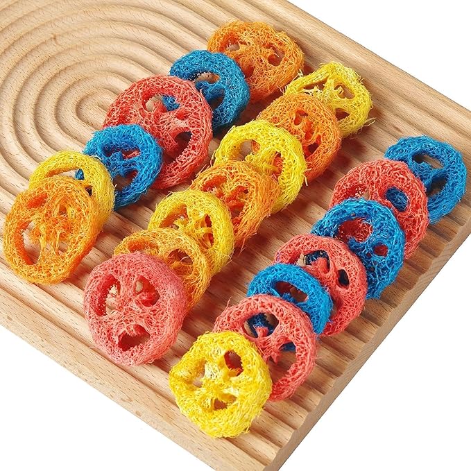 15 Pcs Fruit Flavored Loofah Slices Rabbit Chew Toys Guinea Pig Chew Toys Small Pet Chews Bunny Toys for Teeth Rabbit Toys-PawvioPets