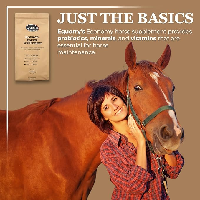 Equerry's Economy Equine Supplement - Horse Probiotics | Supplement for Horses | Horse Vitamins and Minerals Supplement with Enzymes and Selenium,20lb-PawvioPets