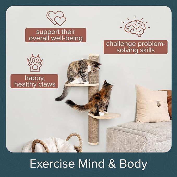 Cat Climbing Wall System – Modern Floating Shelves & Perches for Cats - Sunrise Steps | Ascentials by FurHaven-PawvioPets