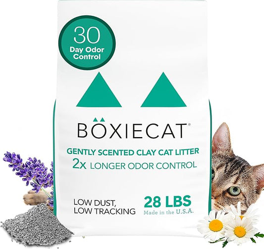 Boxiecat Gently Scented Premium Clumping Clay Cat Litter, 28-Pounds-PawvioPets