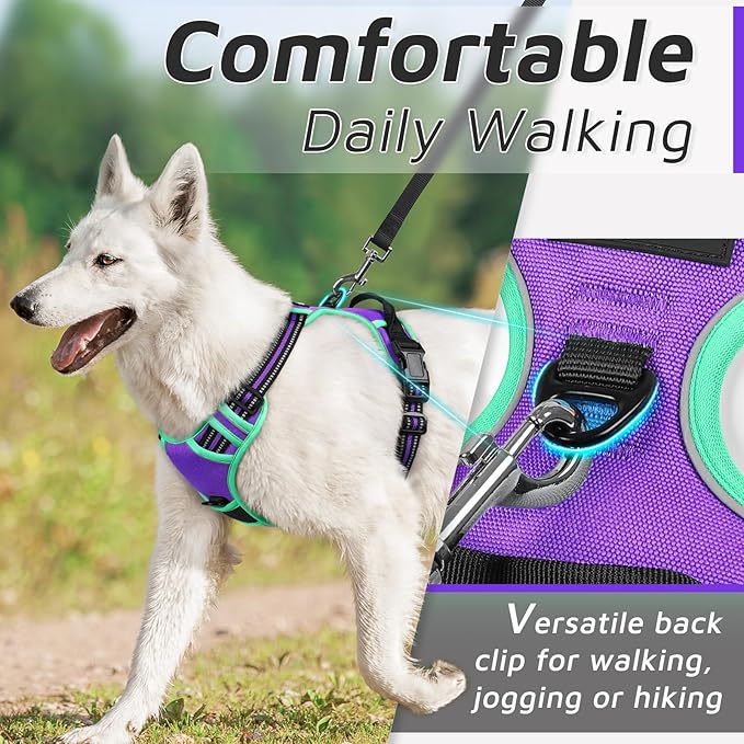 Eagloo Dog Harness for Large Dogs, No Pull Service Vest with Reflective Strips and Control Handle, Adjustable and Comfortable for Walking, No Choke Harness with 2 Metal Rings, Purple & Green, M-PawvioPets