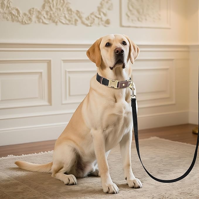 Didog Soft PU Leather Dog Collar for Large Dogs,Classic Adjustable Dog Collars with Quick Release Metal Buckle,Easy Clean and Comfortable with Nylon Lining,Black,L Neck 15-23"-PawvioPets