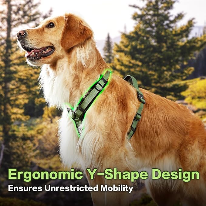 CLEPAWS Dog Harness for Small Dogs, No Pull Dog Harness Easy Walk with Metal Hardware, Ergonomic Y-Shaped Design, Soft Padding, Padded Handle, Durable High-Tensile Nylon (Evergreen, S)-PawvioPets