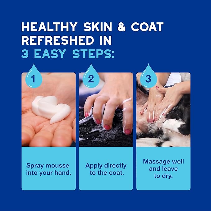 DOUXO® Skin & Coat SPA - Ultra-Safe Quick Refresh Leave-on Mousse for Dogs, 10 fl oz, Safely Cleans and Refreshes, Leaves The Coat Soft, Radiant and Smelling Great, Skin-Friendly Formula-PawvioPets