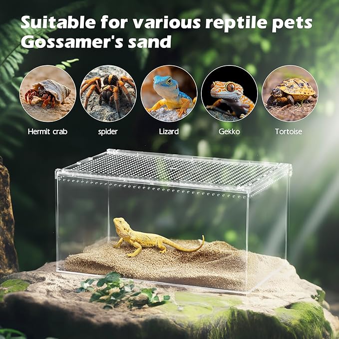 AZV Reptile Terrarium Tank,Versatile Enclosure for Leopard Crested Gecko,Lizard Cage,Spider Starter Kit,Hermit Crab Habitat,Tarantula Cribs,Perfect Aquarium for Snake,Frogs,Snails,Insects,Small Pets-PawvioPets