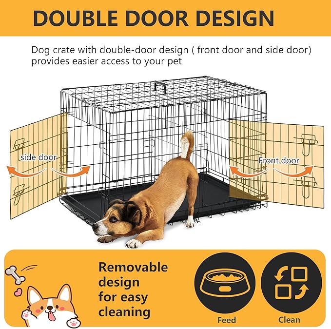 FDW Dog Crate Dog Kennel Cage with Double Door,36 inch Folding Metal Wire Dog Cage with Removable Tray&Divider Panel,Pet Crate for Medium Dogs,Black-PawvioPets
