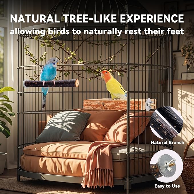 Bird Toys Parakeet Perch Budgie Perch Wood Stand Fork Toys Multi-Branch Perch Platform Toy for Small Conures,Cockatiel,Parrotlet,Lovebird,Parrot,Finches-PawvioPets