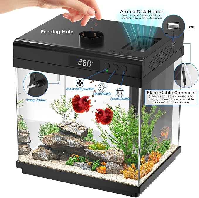 AQQA 3.7 Gallon Aquarium Starter Kit Small Glass Fish Tank with Filter and Light (10 Colors Adjustable) Desktop Self-Cleaning Betta Fish Tank Kit Office & Home Decor Idea (Black)-PawvioPets