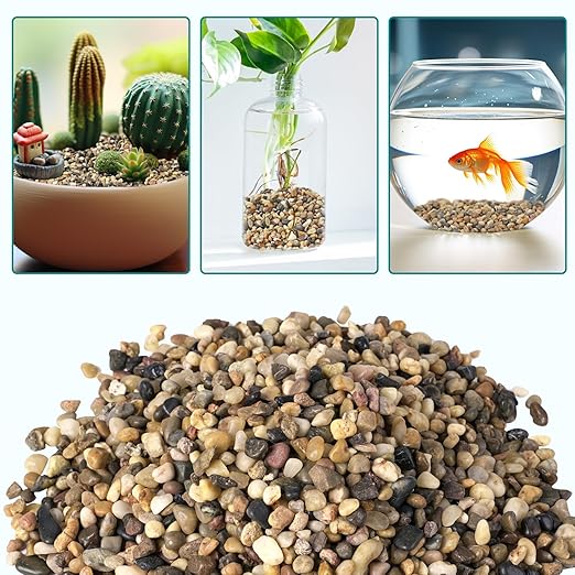 5 lbs Small Rocks for Plants, 1/5 Inch Gravel for Plants Drainage, Decorative Potting Pebbles for Indoor Plants, Vases, Bamboo, Succulent, Terrarium, Crafts, Cactus-PawvioPets