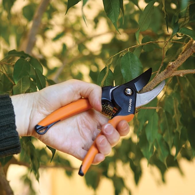 Fiskars Bypass Pruning Shears, 5/8-Inch Cut Capacity SoftGrip Hand Pruner for Small Hands, Blade Stays Sharp Through Heavy Use with Rust Resistant, Low-Friction Coating-PawvioPets