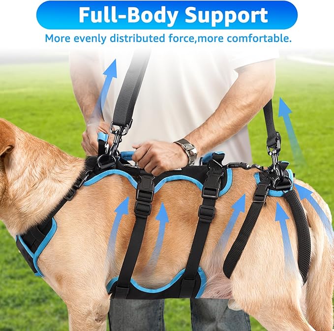 Dog Lift Harness for Large Male Dogs, 2-in-1, Back Leg Support & Mobility Assistance for Senior Dogs, Post-Surgery Recovery Sling(Black, Large)-PawvioPets