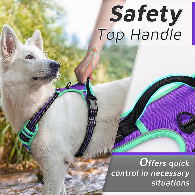 Eagloo Dog Harness Small Sized Dog, No Pull Service Vest with Reflective Strips and Control Handle, Adjustable and Comfortable for Walking, No Choke Pet Harness with 2 Metal Rings, Purple & Green, S-PawvioPets