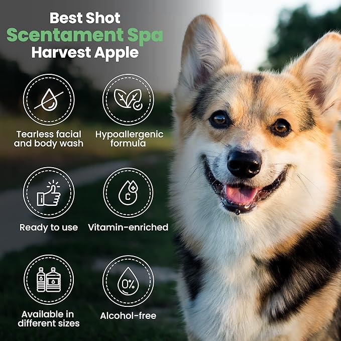 Best Shot Scentament Spa Seasonal Facial & Body Wash, Harvest Apple, 1 Gallon-PawvioPets