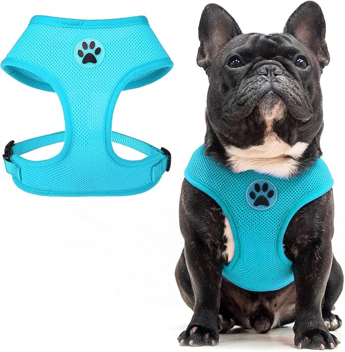 BINGPET No Pull Dog Harness,Soft Mesh Breathable All Weather Vest Harness,Safety Protection Design Durable Adjustable Step-in Easy Walk Dog Harness for Small Medium Large Dogs(RoyalBlue,M)-PawvioPets