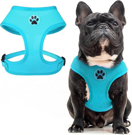 BINGPET No Pull Dog Harness,Soft Mesh Breathable All Weather Vest Harness,Safety Protection Design Durable Adjustable Step-in Easy Walk Dog Harness for Small Medium Large Dogs(RoyalBlue,M)-PawvioPets