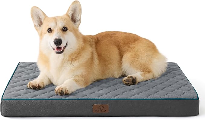 Bedsure Orthopedic Dog Bed for Medium Dogs - Flat Memory Foam Pet Mattress with Removable Washable Cover and Egg Crate Foam, Suitable for Pet Up to 35 lbs, 30x20x3 Inches, Grey-PawvioPets