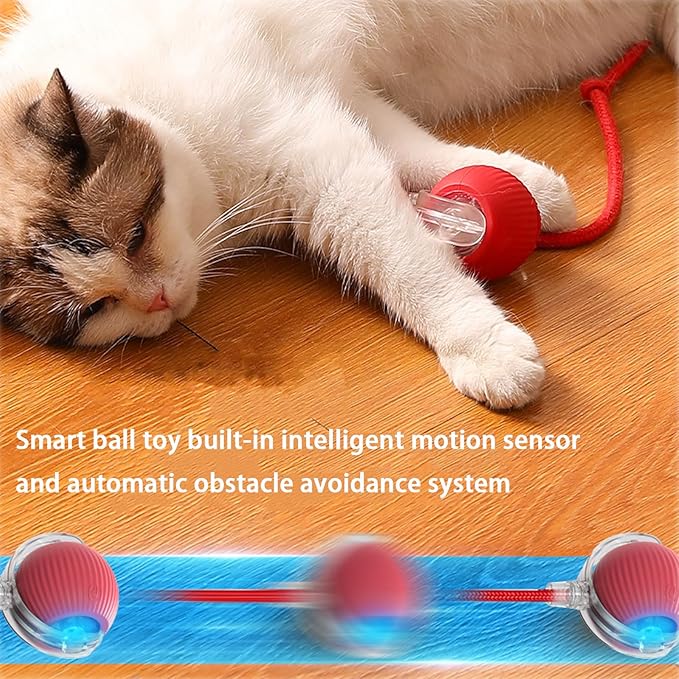 2 Packs Interactive Cat Toy Ball for Indoor Cats - 3-Speed Smart Rolling Ball with Flashing Lights, USB Rechargeable Automatic Motion Kitten Toys for Bored Adult Cats & Playful Kittens-PawvioPets