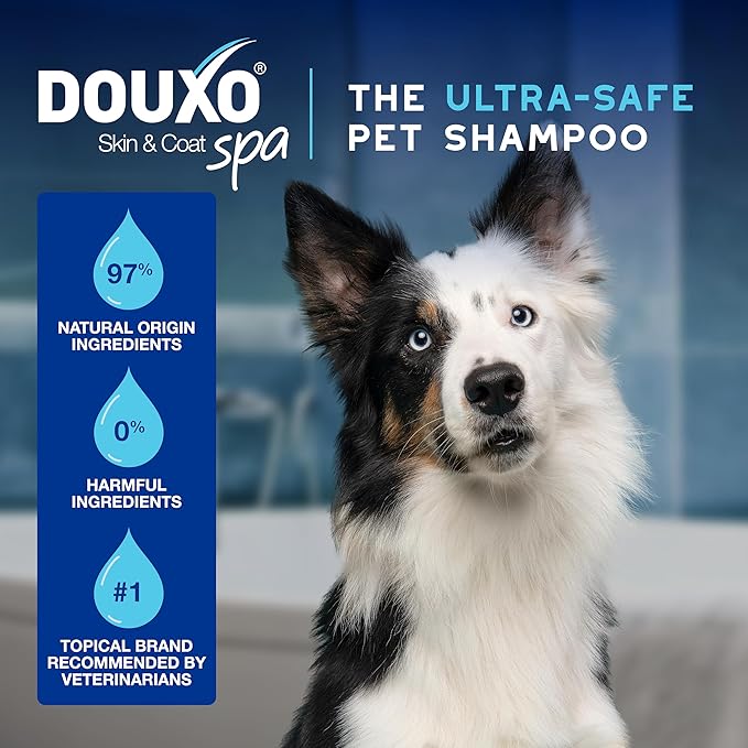 DOUXO® Skin & Coat SPA - Ultra-Safe Dewaxing Ear Cleaner for Dogs and Cats, 4.1 fl oz, Safely Cleans and Dewaxes The Ear, Skin-Friendly Formula-PawvioPets