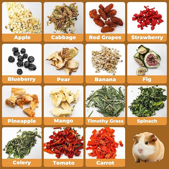 Bunny Treats, Treat Box with 15 Kind of Snacks for Rabbit, Hamster, Chinchilla, Guinea Pig and Other Small Pets, Chinchilla Treats, Guinea Pig Treats, Hamster Treats-PawvioPets
