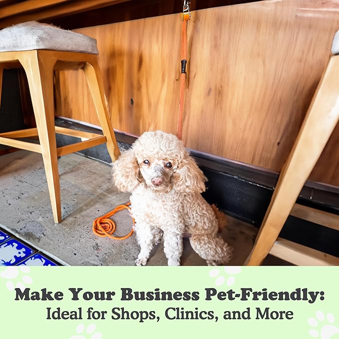 Canine Hitch- Secure Dog Leash Parking Wall Slim Hook with Clip 6 Pack - Tie Out Stainless Steel & ABS Mounting Plate for Strength - Practical Lead Management for Home & Business-PawvioPets