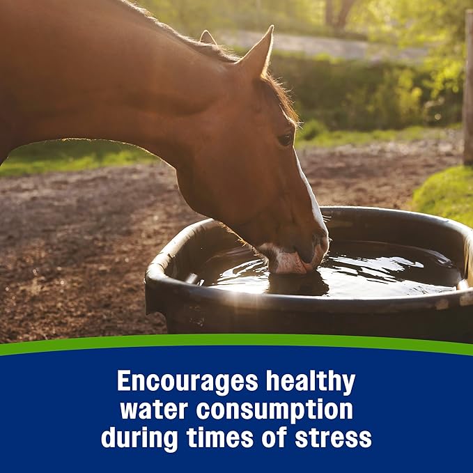 Farnam Apple Elite Electrolyte Paste Supplement for Horses, Replaces Vital Minerals, Encourages Hydration, No Added Sugar, 60 cc syringe-PawvioPets