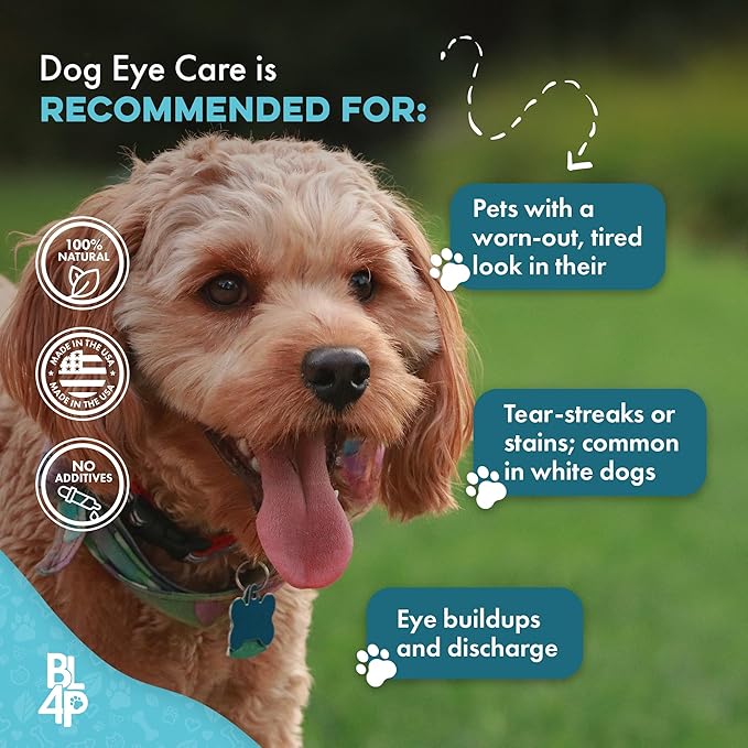 Dog Eye Care & Infection Treatment, Natural Dog Supplements for Conjunctivitis, Swelling, Dry Eyes and Discharge, Easy to Use, No More Struggle with Canine Drops, 400 Small Pills-PawvioPets