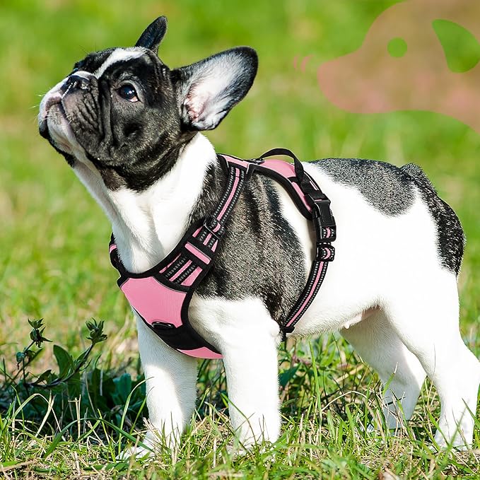 Eagloo Dog Harness Small Sized Dog, No Pull Service Vest with Reflective Strips and Control Handle, Adjustable and Comfortable for Easy Walking, No Choke Pet Harness with 2 Metal Rings, Pink, S-PawvioPets
