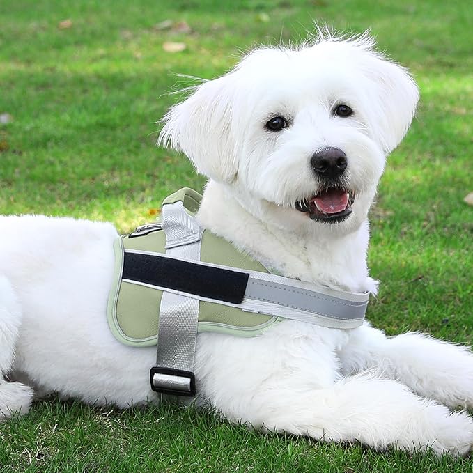 Bolux Dog Harness, No-Pull Reflective Dog Vest, Breathable Adjustable Pet Harness with Handle for Outdoor Walking - No More Pulling, Tugging or Choking-PawvioPets