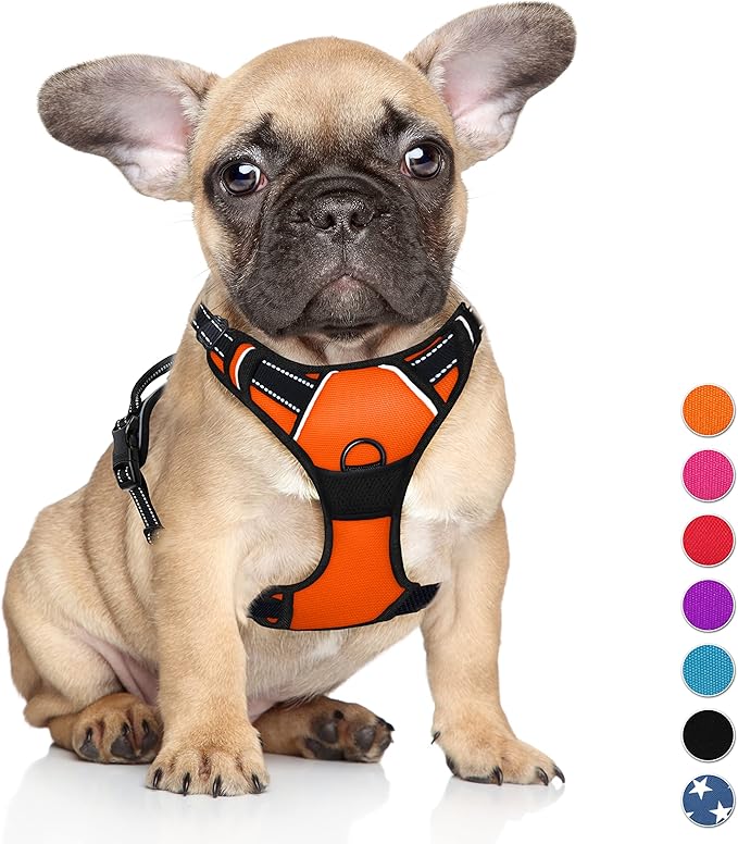 BARKBAY No Pull Dog Harness Large Step in Reflective Dog Harness with Front Clip and Easy Control Handle for Walking Training Running(Orange,S)-PawvioPets