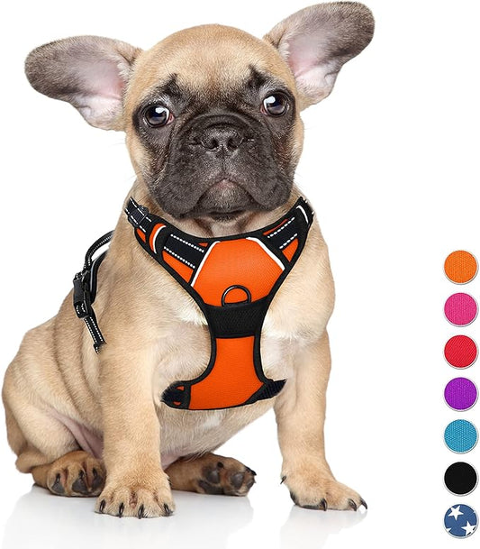 BARKBAY No Pull Dog Harness Large Step in Reflective Dog Harness with Front Clip and Easy Control Handle for Walking Training Running(Orange,S)-PawvioPets